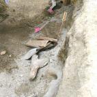 5c8a5583240000f404a2f3e7