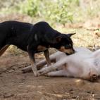 5c8a576b260000e804fe3ab9