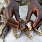 5c8a576b25000058068106ed