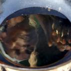 5c8a576c360000ba1a6b5bb9