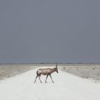 5c8b70ce3b000002076d97a7