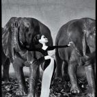 5c8b70cf2000009d0370c467