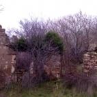 Fraguas en ruinas antes de ser repoblado