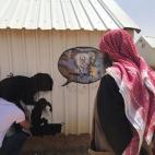 5c8b62622300003000e80f89