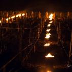 5c8b5c1a360000ba1a6ce23e