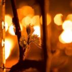 5c8b5c1b2400000a05a48385