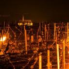 5c8b5c1b240000f404a48389