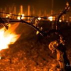 5c8b5c1b22000051001ab4b8