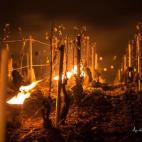 5c8b5c1c2400006c05a4838b