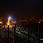 5c8b5c1c2400004205a4838f