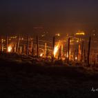 5c8b5c1c230000d504248873