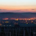 5c8b5c1d22000051001ab4be