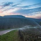 5c8b5c1e2300000401248879