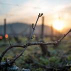 5c8b5c1e2300002f00e7fede