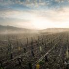 5c8b5c1e2400006d054d46c9