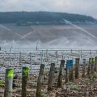 5c8b5c1f2300005300e7fee6