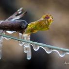 5c8b5c1f360000a61b6ce24e