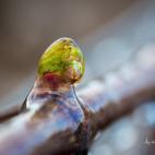 5c8b5c1f22000030001ab4c6