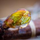 5c8b5c2022000051001ab4c8