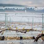 5c8b5c20240000f404a4839b