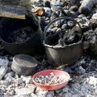 5c8ac1412000009d036fb037