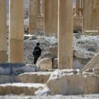 5c8aa7d82400006f054c31df