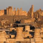 5c8aa7d82400004205a36db7