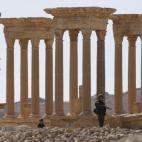 5c8aa7d82000009e046f7dec