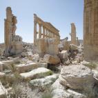 5c8aa7d82300002f00e6e982