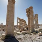 5c8aa7d92400000a05a36dbf