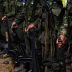 5c8abeeb2400004205a39cb5