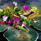 5c8abe29230000d504239f9e