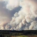 5c8b730b3b000054066d9d09