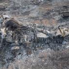 5c8b730b230000040124c29f