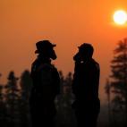 5c8b730d360000e01c6d1c5e