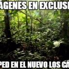 5c8b798a360000a61b6d2d54