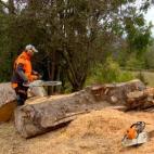 5c8b781e2000009d0370d7d7