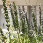 5c8b22a13b000072066d0fd5