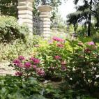 5c8b22a1250000e203ca2321