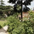 5c8b22a422000031001a5f65