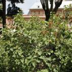 5c8b22a42000004504703cd4