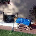 5c8b2caa2300000401244b87