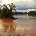 Más de 274 mil hectáreas forman parte de la Reserva Nacional Tambopata. Ubicada en el departamento Madre de Dios, al sureste de Perú, este espacio "alberga una de las selvas con mayor biodiversidad del país y posiblemente de toda la cuenca d...