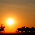Un domador de jinete húngaro arrea a un grupo de caballos al atardecer en Hortobágy, Hungría.