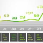 EVOLUCIÓN DE LA CONCESIÓN DE LA PROTECCIÓN SUBSIDIARIA EN ESPAÑA