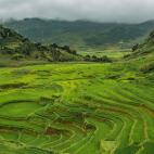 La provincia de Lao Cai, al norte de Vietnam y en la frontera de la provincia china de Yunnan, es un s&iacute;mbolo de las aut&eacute;nticas constantes en la vida vietnamita: felicidad, hospitalidad y humildad. En ella se encuentra el paradis&ia...