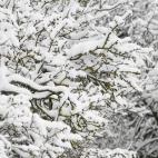 Paisaje en Requejo (Cantabria)