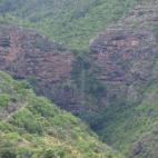 5c8a9d5d250000580681616c