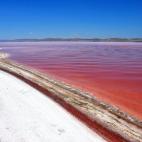 5c8b6fc3360000a61b6d1405