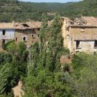 5c8a4e67360000c81a6b4f23